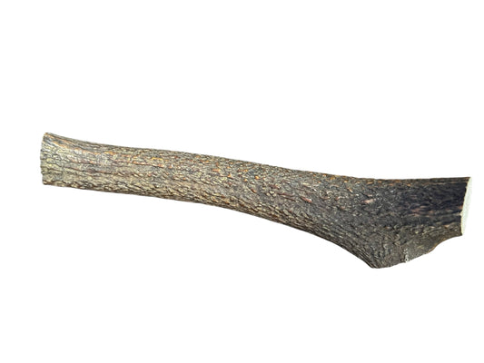 Antler
