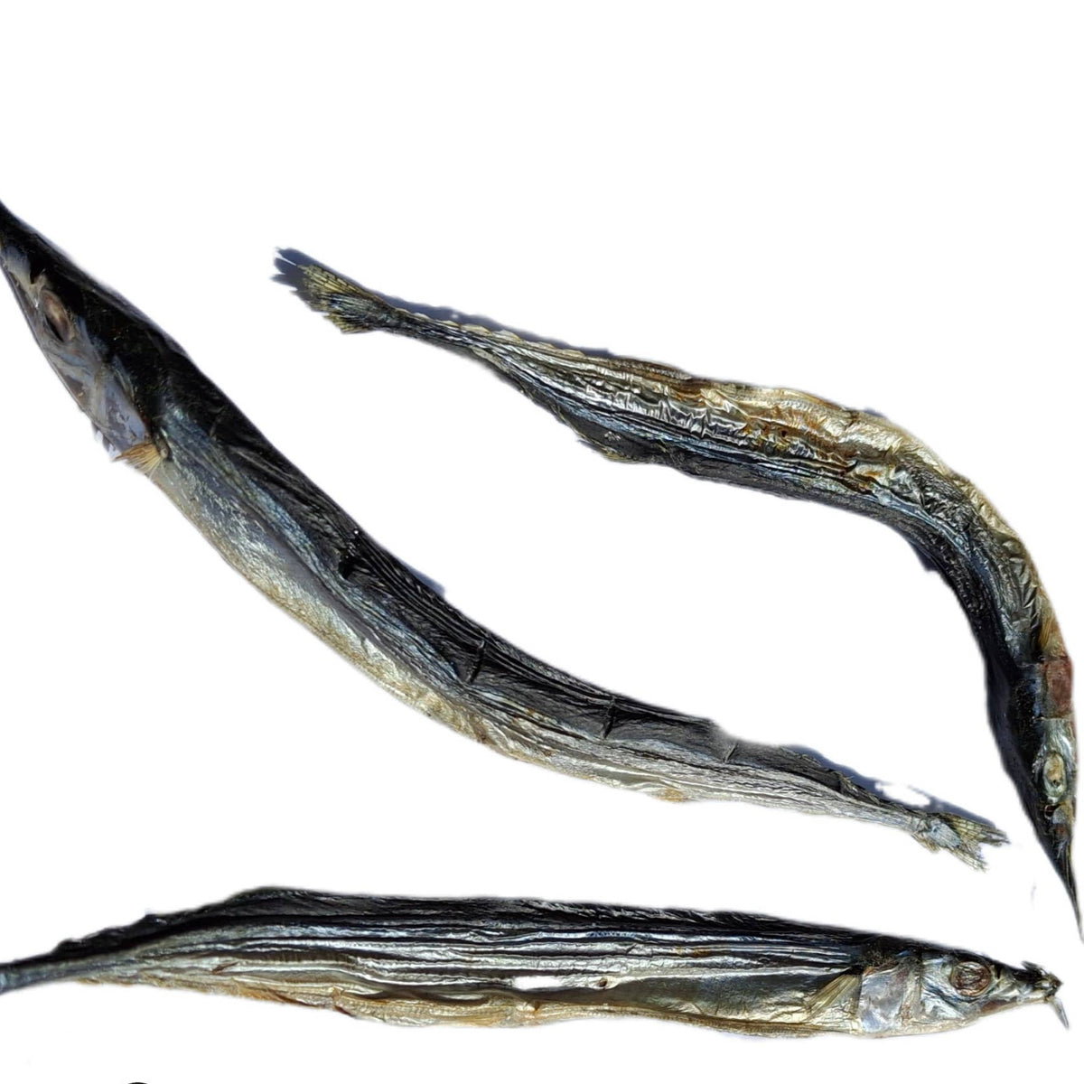 Garfish - 1 Piece