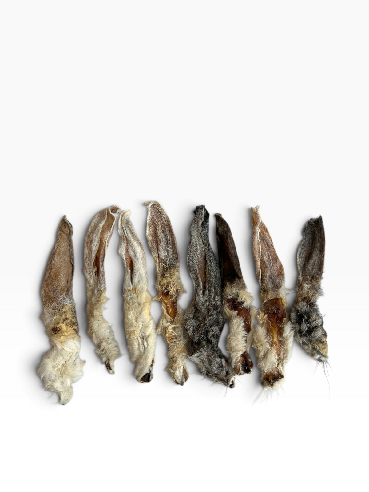 Hairy Rabbit Ears