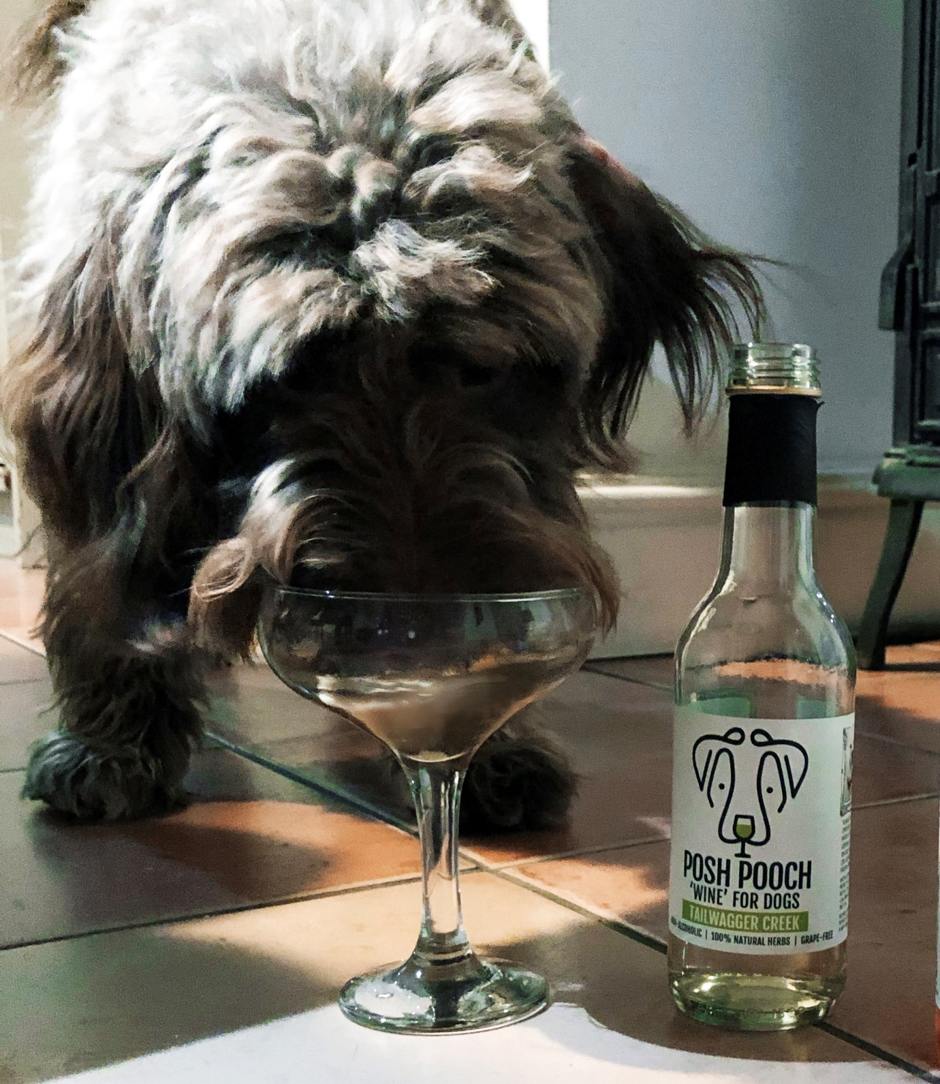 Woof&Brew Posh Pooch Dog 'Wine' Treat -Gift or Cooling Treat