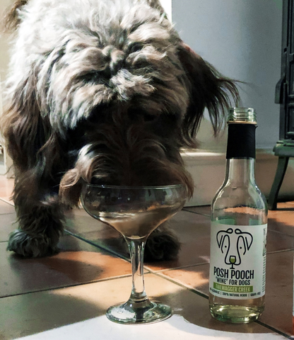Woof&Brew Posh Pooch Dog 'Wine' Treat -Gift or Cooling Treat