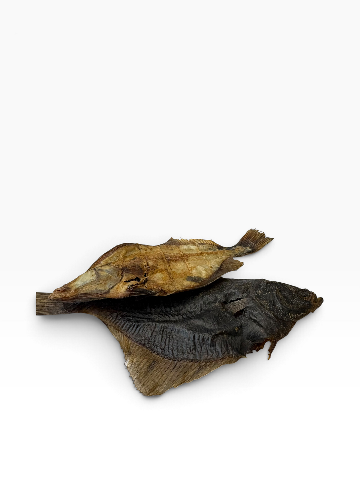 Flounder Fish - 1 Piece