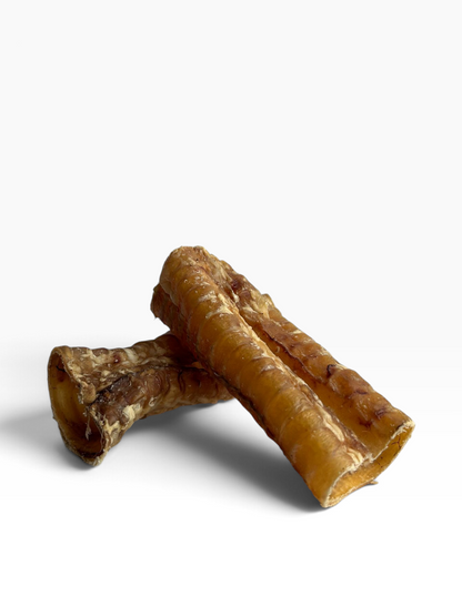 Beef Trachea - 1 Piece