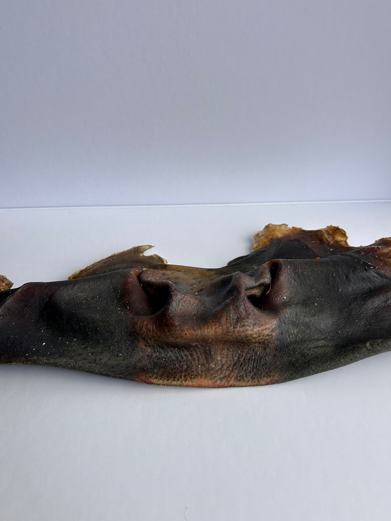 Beef Snout - 1 Piece