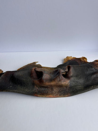 Beef Snout - 1 Piece