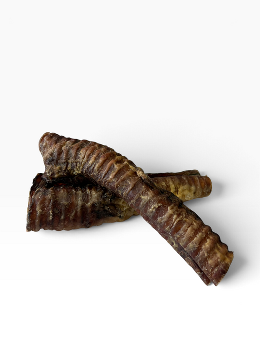 Beef Trachea 20cm - 1 Piece