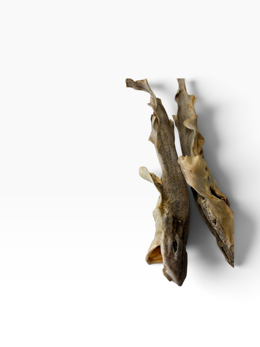 Dog fish - 1 Piece