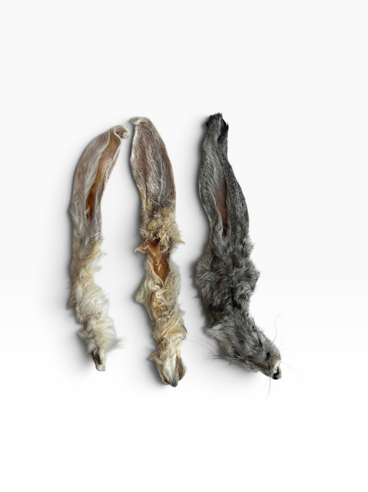 Hairy Rabbit Ears