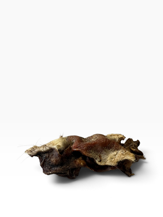 Hairy Beef Snout - 1 Piece