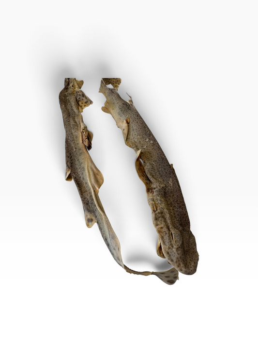 Dog fish - 1 Piece