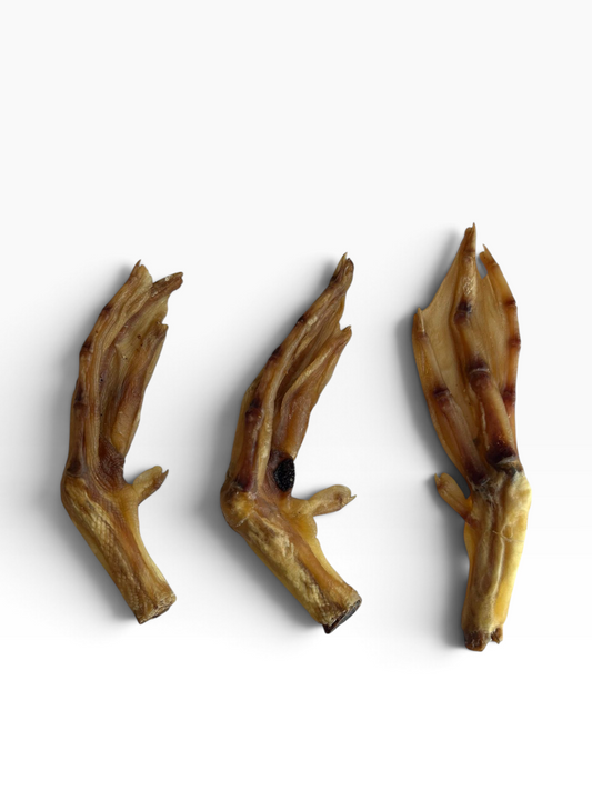 Duck Feet