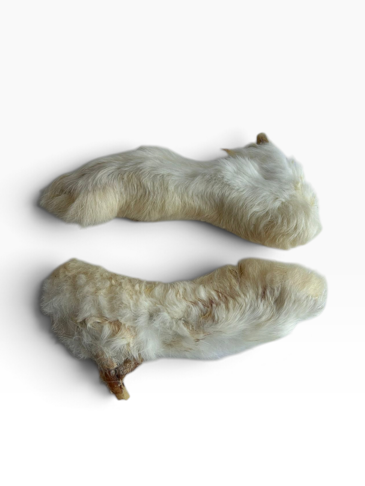Hairy Rabbit Foot - 1 Piece