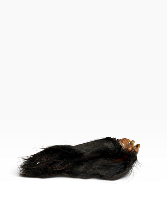 Hairy Buffalo Ear - 1 Piece