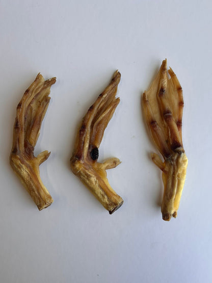 Duck Feet