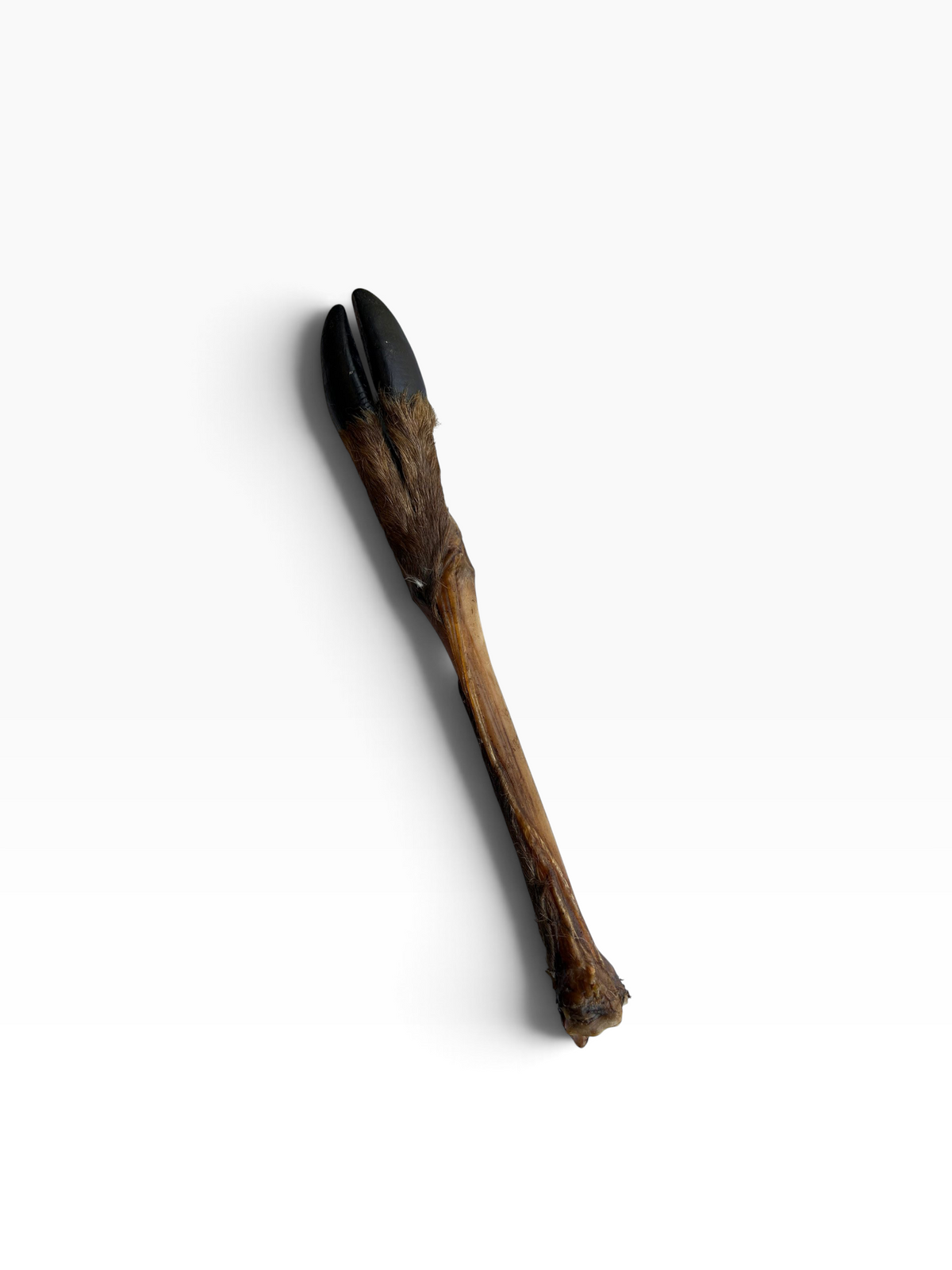 Hairy Roe Deer Leg