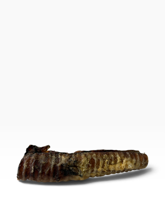 Beef Trachea 20cm - 1 Piece