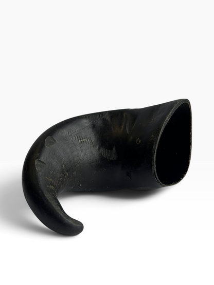 Buffalo Horn