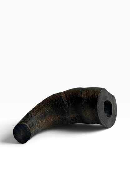 Buffalo Horn