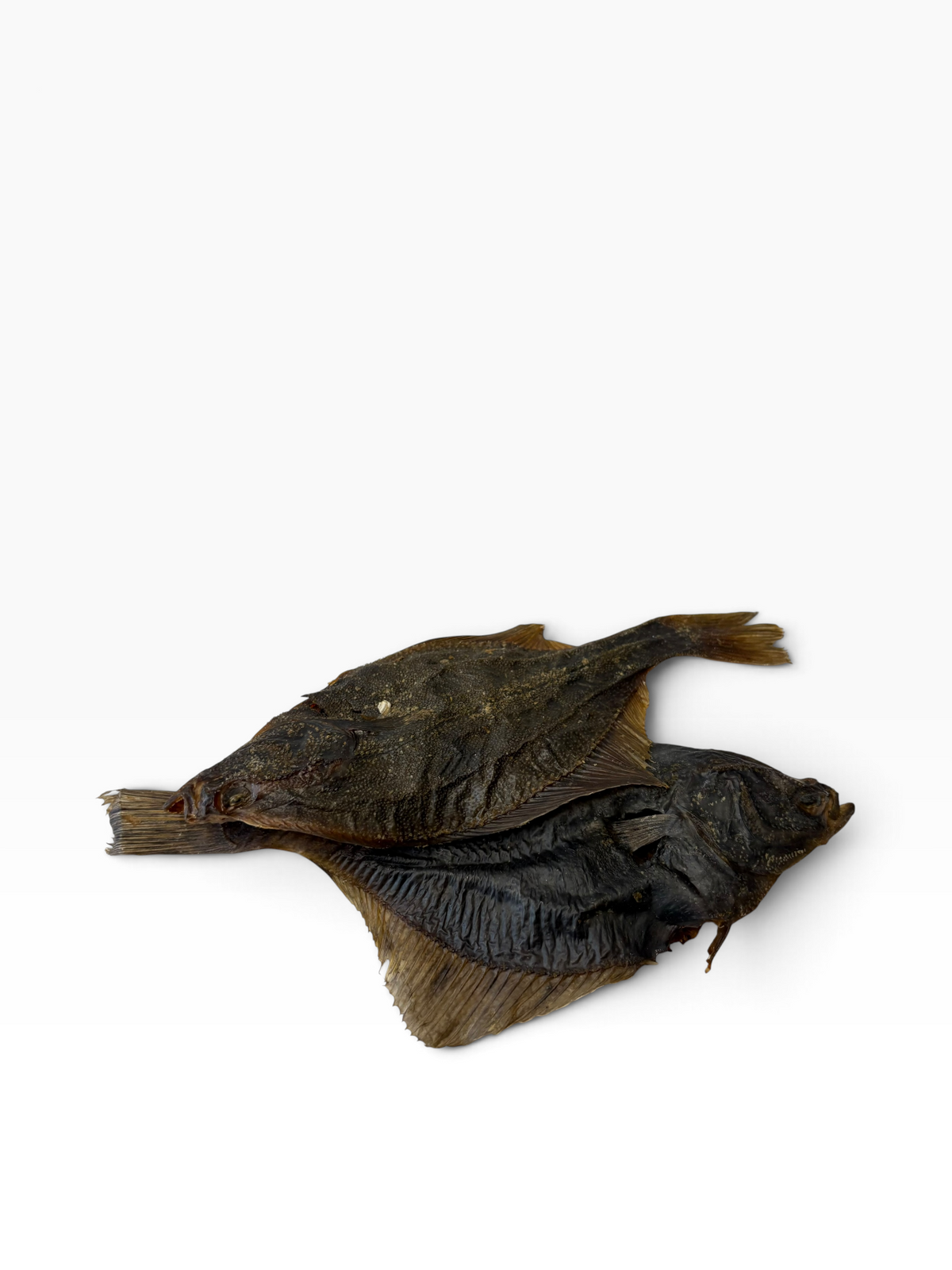 Flounder Fish - 1 Piece