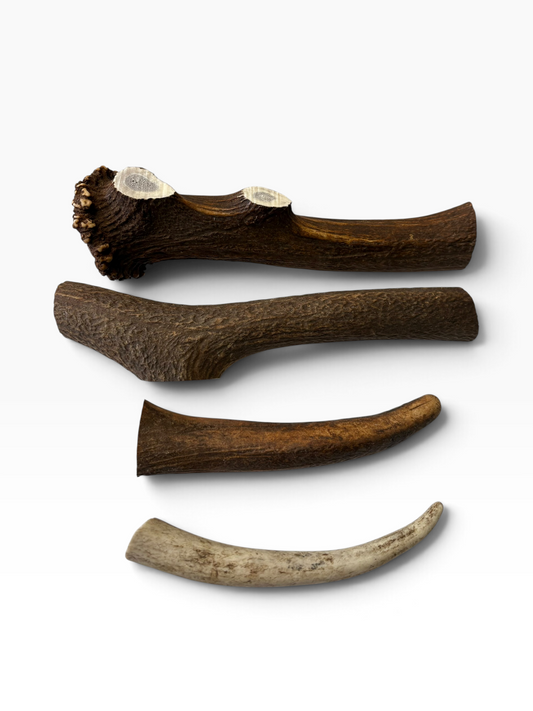 Antler