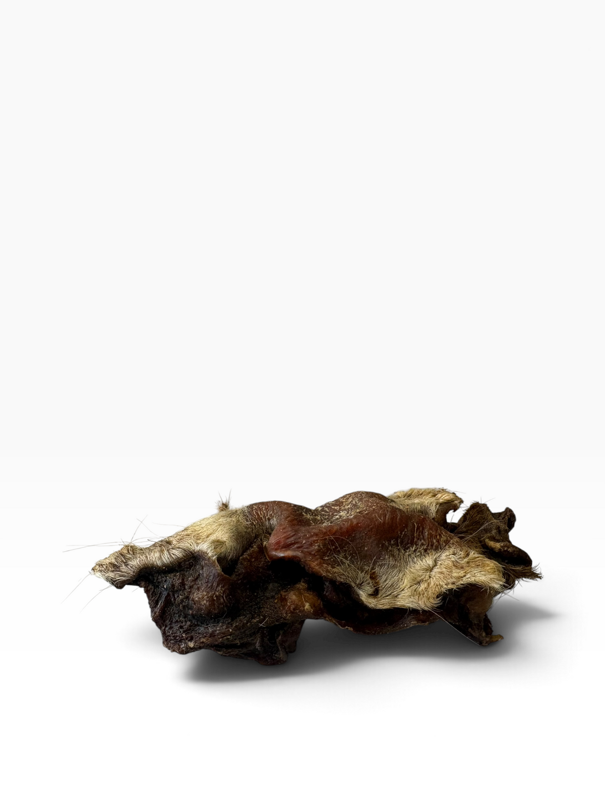 Hairy Beef Snout - 1 Piece