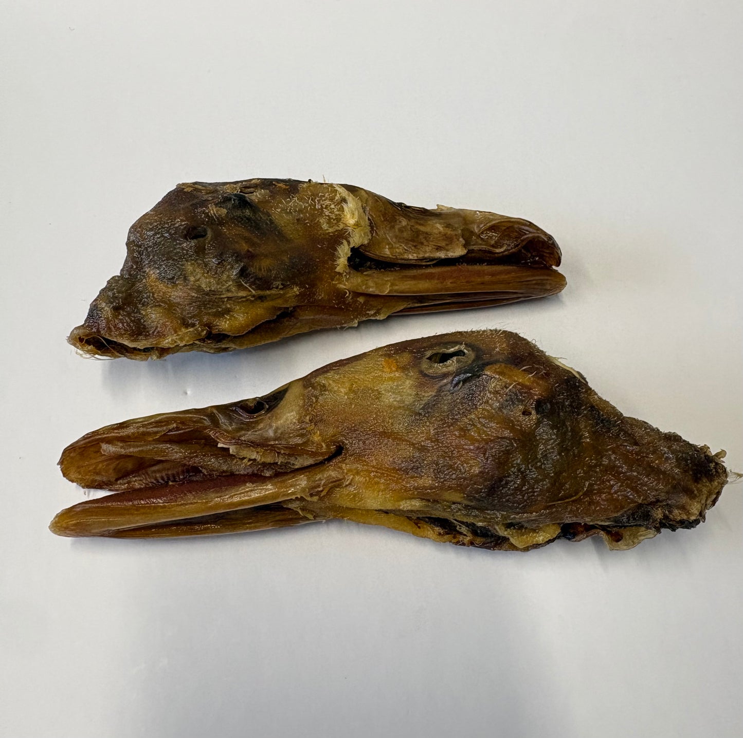 Duck Head - 1 Piece