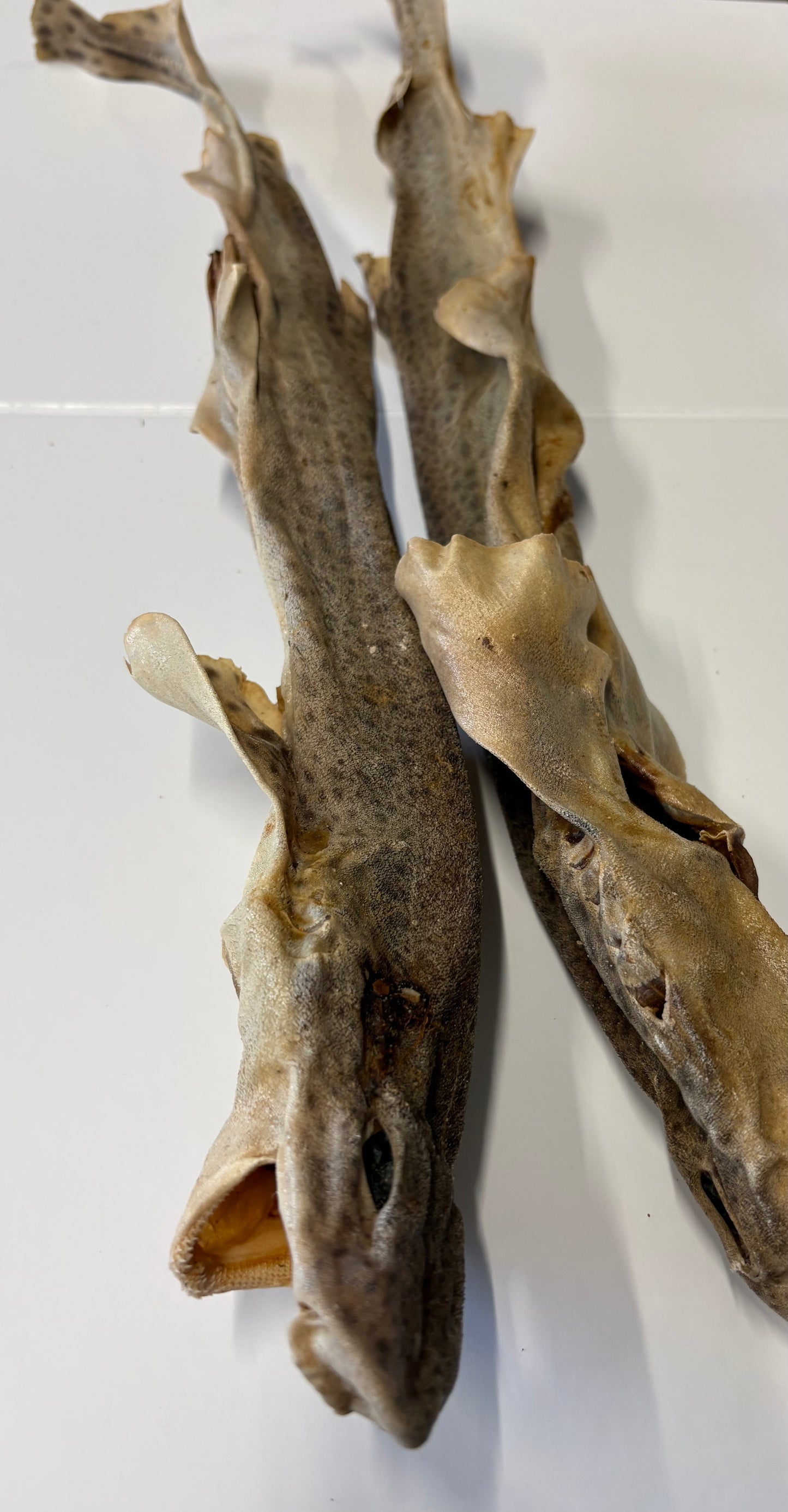Dog fish - 1 Piece