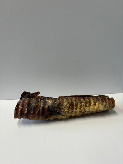 Beef Trachea - 20cm