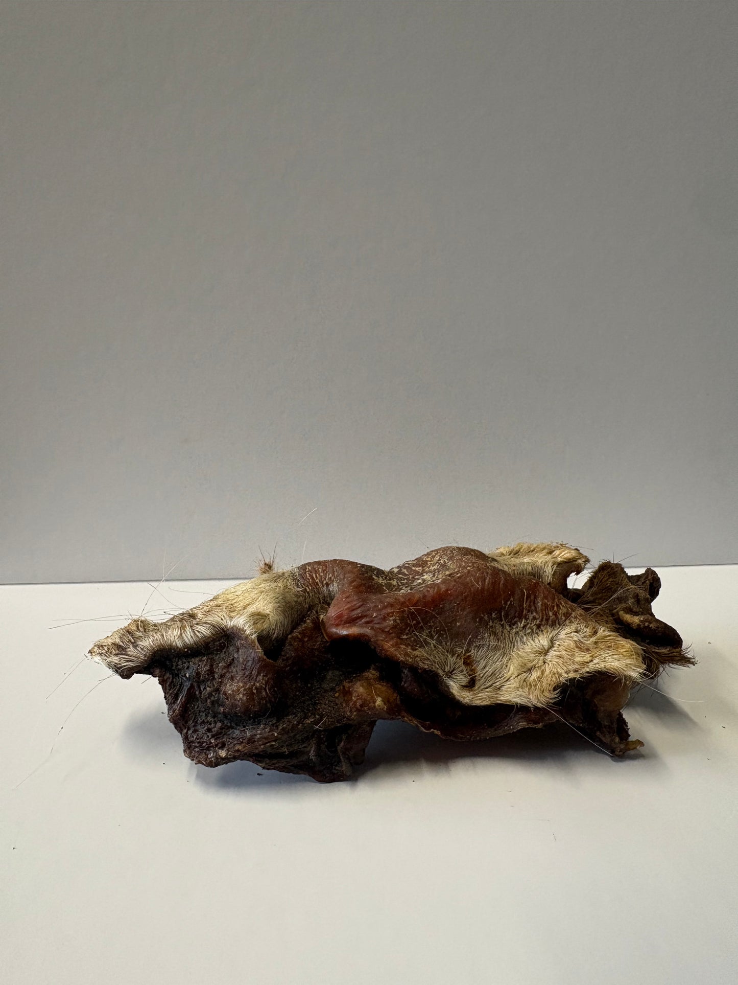 Hairy Beef Snout - 1 Piece
