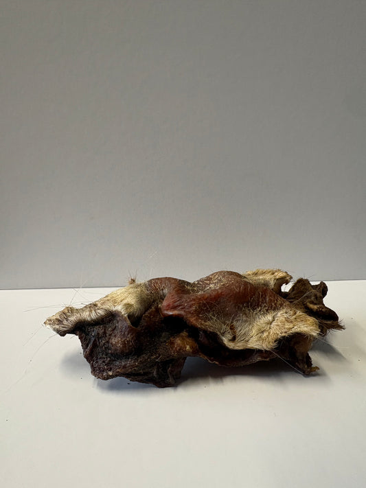 Hairy Beef Snout - 1 Piece