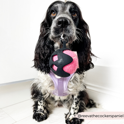 Tennis Ball Holder - Black