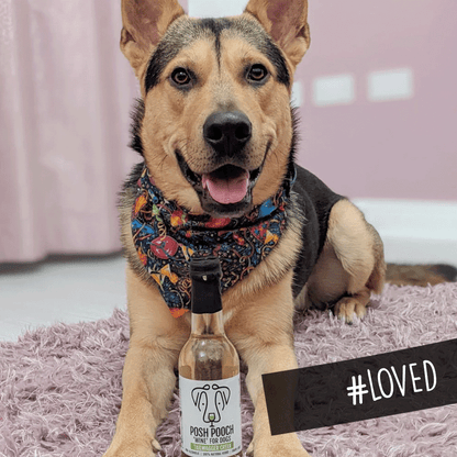 Woof&Brew Posh Pooch Dog 'Wine' Treat -Gift or Cooling Treat