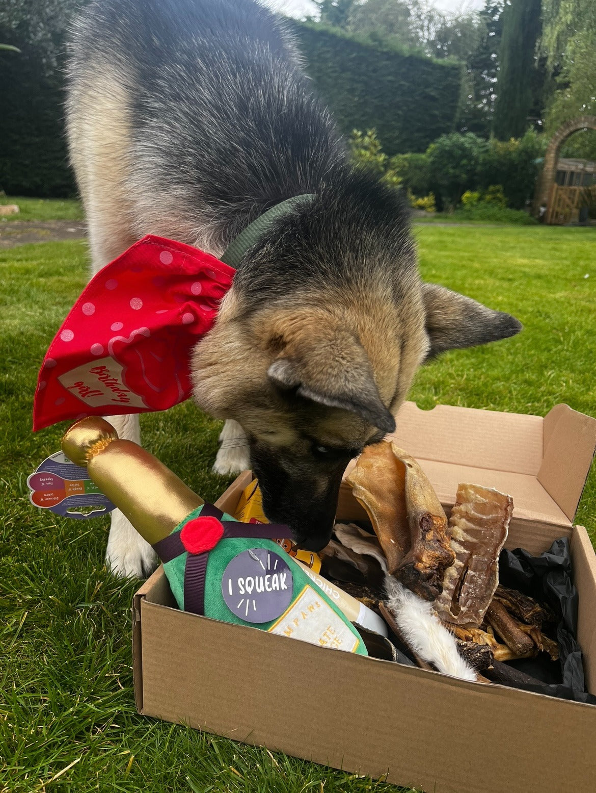 Birthday Box!