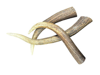 Antler