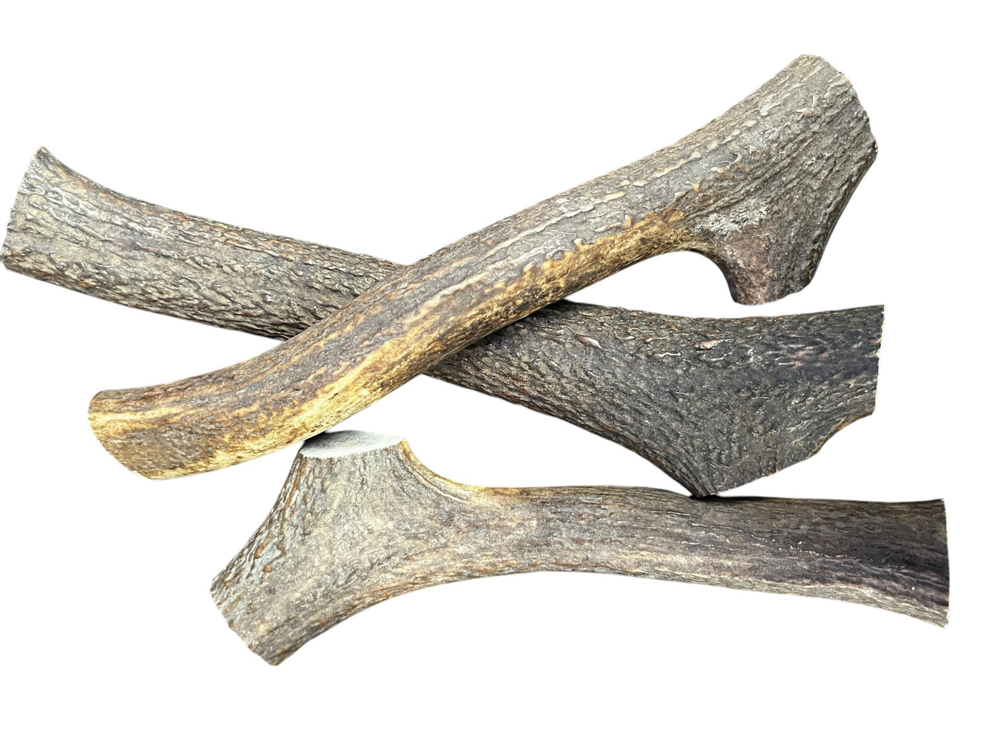 Antler