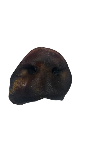 Pork Snout – 1 Piece