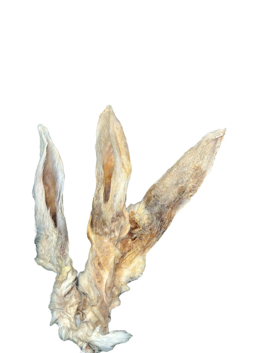 Hairy Rabbit Ear – 1 Piece