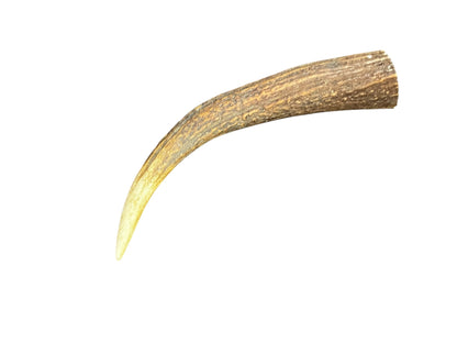Antler